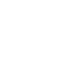 Web/Application Development 